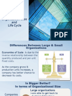 Organization Size Life Cycle