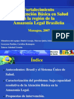 Presentacion Final Brasil