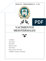 Tema 8_Mesotermal.pdf