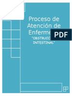 313515121-Obstruccion-Intestinal-PAE.doc