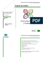 PE Proyeccion Personal y Profesional 23jul18 Versionfinal 1