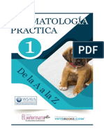 LIBRO_DERMATO_PRACTICA_NEUTRO.pdf