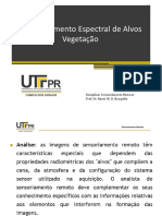 3- Comportamento Espectral de vegetacao.pdf