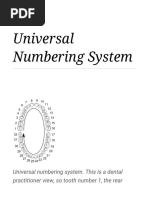 Dental Tooth Numbering Systems Explained | PDF | Dentistry | Dental Anatomy