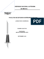 Copia de Examen Labiral 2 PDF