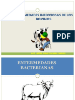 Enfermedades Infecciosas de Los Bovinos: Mvz. Mgter Jorge Zegarra Paredes