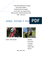 Patos y Pavos Ipa