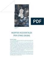 Muertes Accidentales PDF