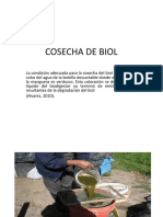 Cosecha de Biol