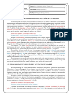 Cambios Morfológicos Del Latín Al Castellano