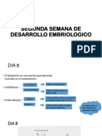 Embriologia 2da Semana