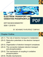 Electron Transport