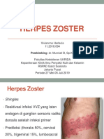 Herpes Zoster: Viviannne Herlecia 11.2018.094