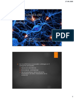 F.del Sistema Nervioso PDF