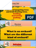Ways of Propagating Trees and Fruit-Bearing Trees.: Let's Learn This!