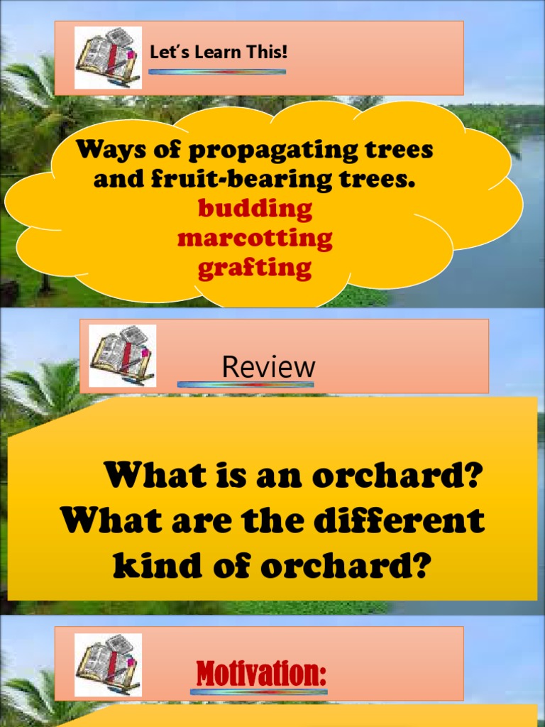Ways of Propagating Trees and FruitBearing Trees. Let's Learn This