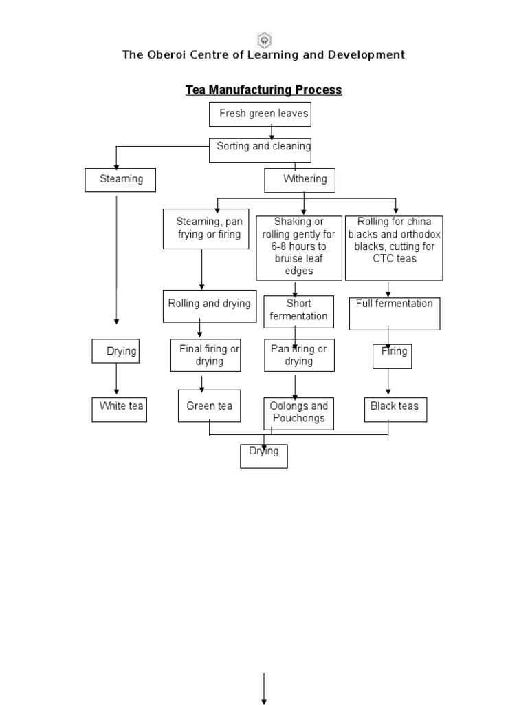 Tea Manufacturing Process: The Oberoi Centre of Learning and ...