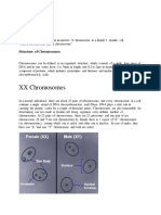 Barr Body: XX Chromosomes