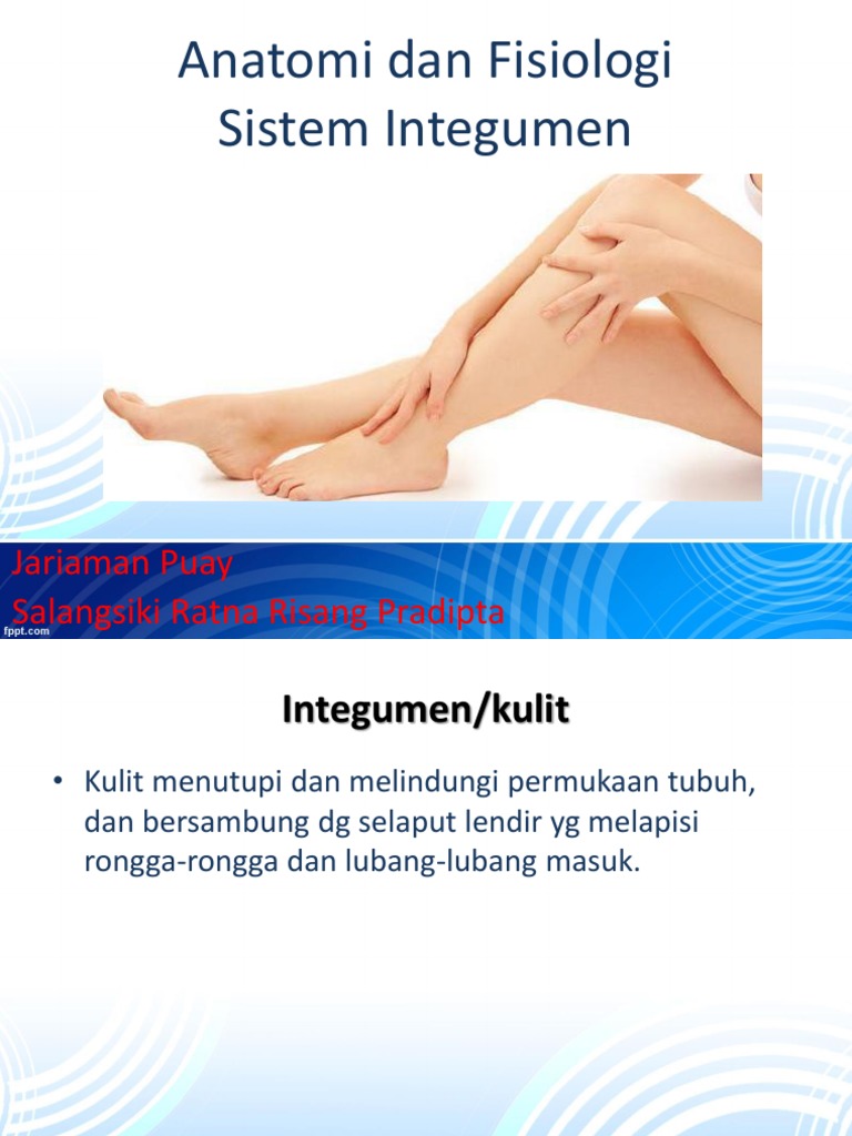 Anatomi dan Fisiologi Kulit | PDF