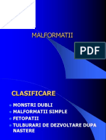 2 Malformatii