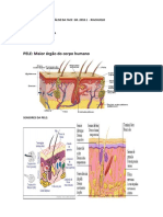 MATERIAL Pele DE APOIO ANALISE DA FACE GR PDF