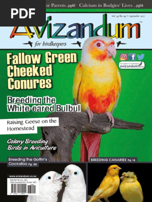 canary bird supplies