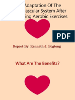 The Adaptation of The Cardiovascular System After Performing Aerobic Exercises