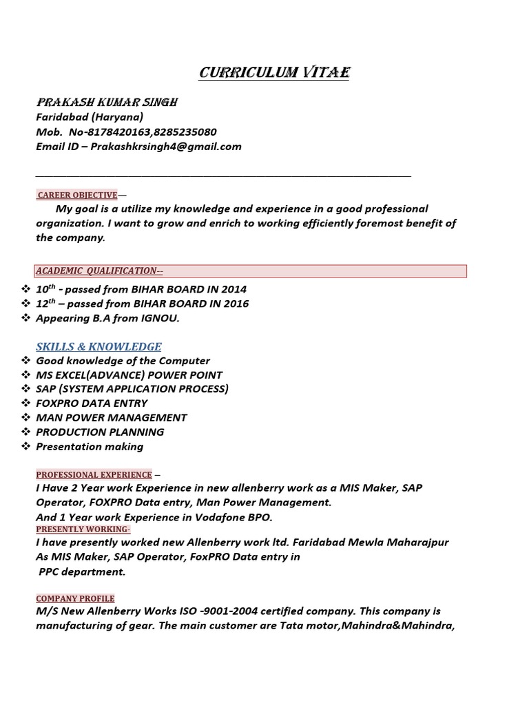 Aspiring Professional Seeks New Opportunities PDF