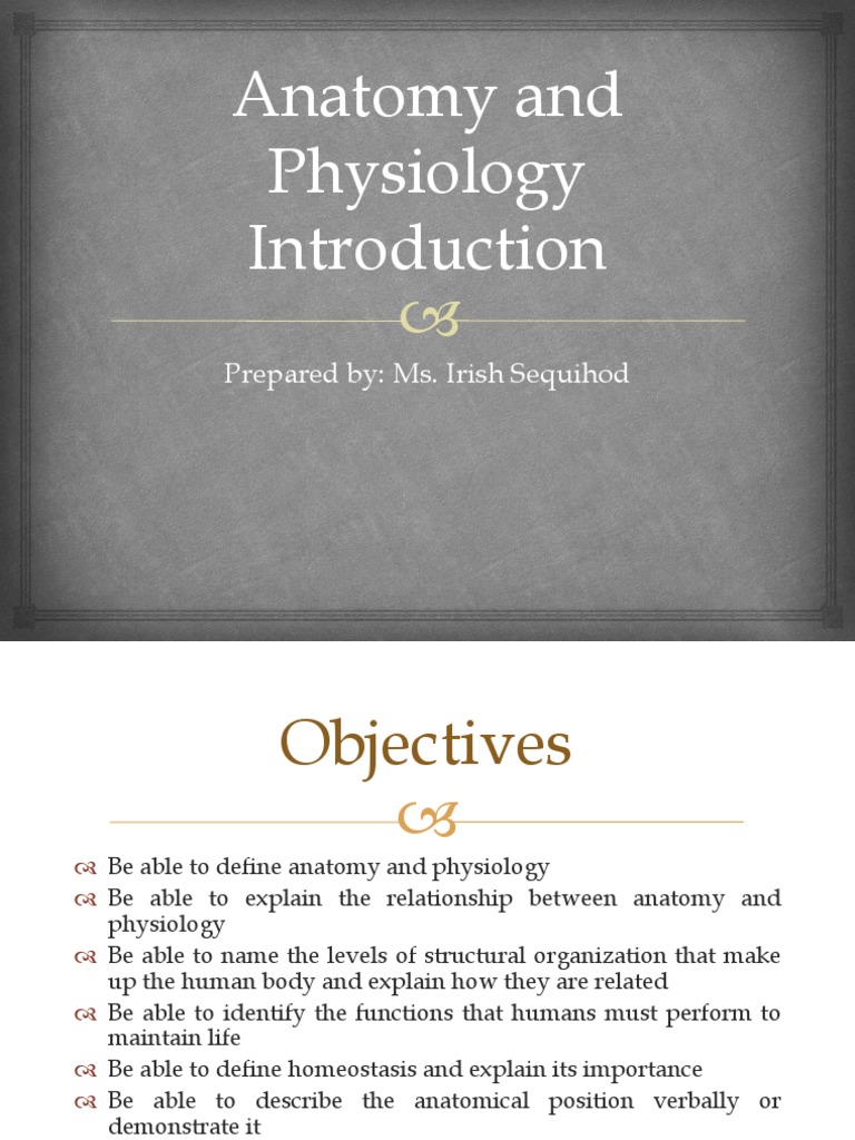 Anatomy and Physiology 1 | PDF | Anatomical Terms Of Location | Homeostasis