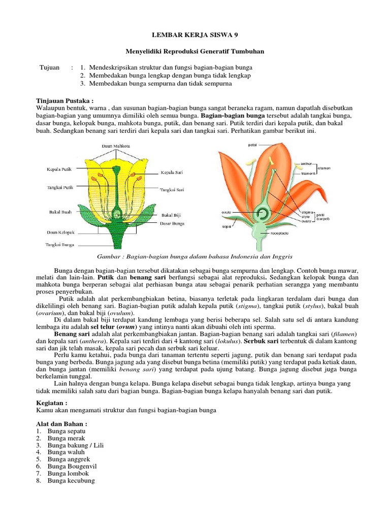 9 Lks Reproduksi Generatif Tumbuhan Pdf