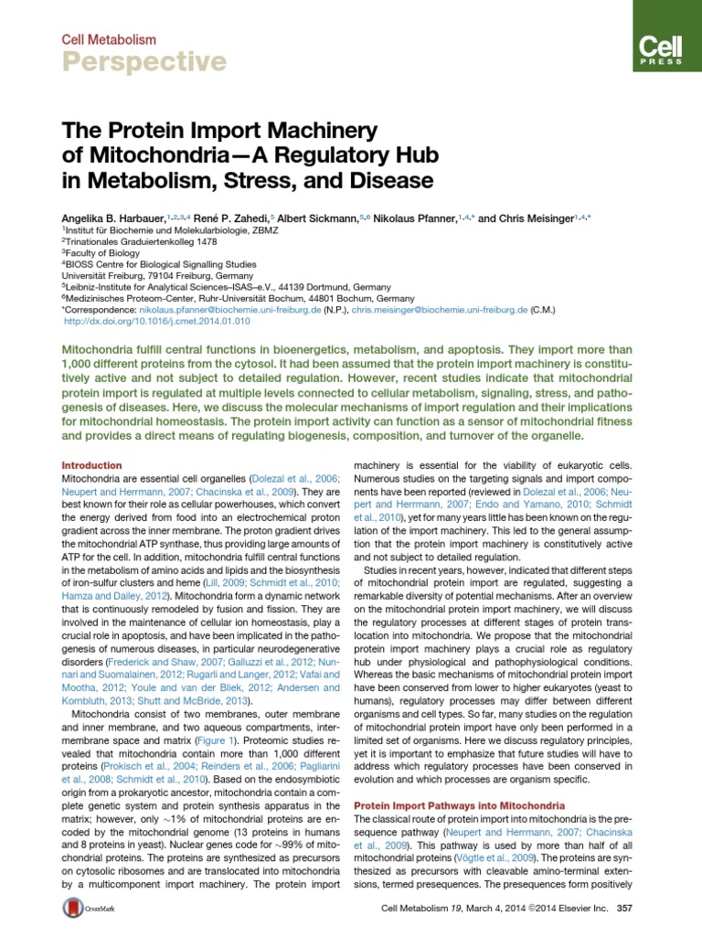 The Protein Import Machinery of Mitochondria-A Regulatory Hub in ...