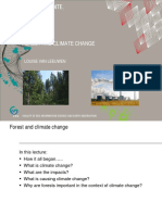 Forest and Climate Change