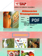 Alimentos Transgenicos