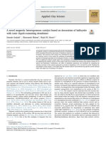 A Novel Magnetic Heterogeneous Catalyst