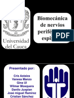 Biomecanica Nervios