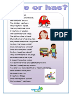 Have Has Practice PDF