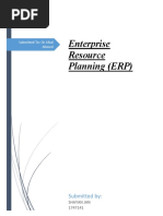 Enterprise Resource Planning