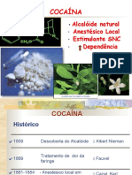 Toxicologia Farmacia Bioquimica Cocaina Toxicologia Social