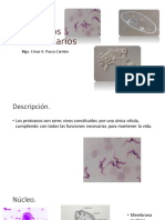 Parásitos protozoarios (1).pdf