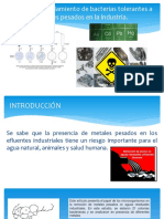 Detección y aislamiento de bacterias tolerantes a metales pesados en la industria. 