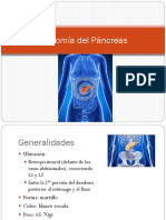 Anatomía Del Páncreas