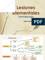 Lesiones Elementales en Dermatología