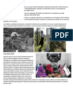 Terrorismo de Estado de Guatemala -- Caso Rio Negro + Caso molina  ++