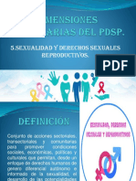 Dimensiones Prioritarias Del Pdsp