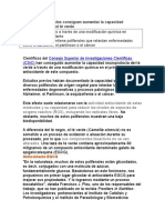 Científicos Españoles Consiguen Aumentar La Capacidad Neuroprotectora Del Té Verde