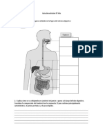 Guía de Nutrición 8