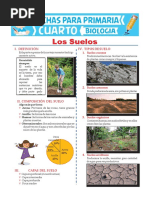 Tipos de Suelo para Niños de Primaria | PDF | Suelo | Ciencias de la Tierra