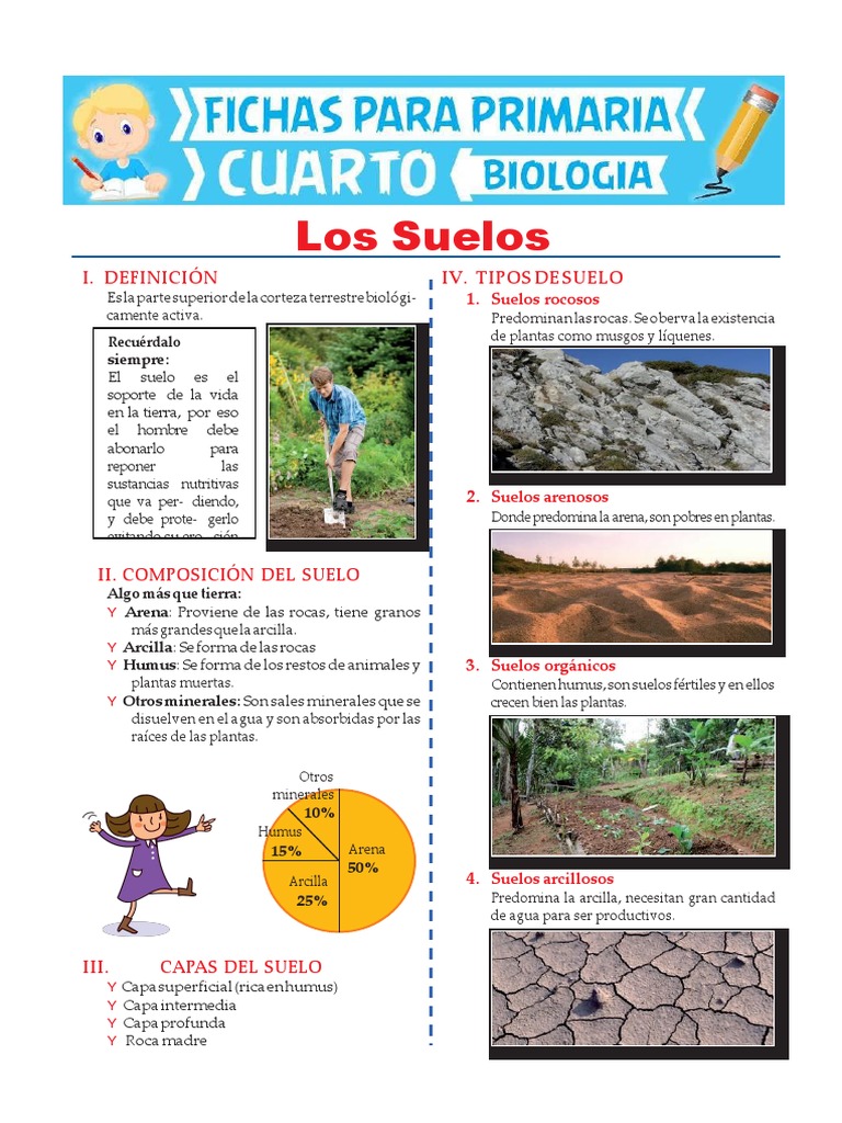 Tipos de Suelos para Niños de Primaria | PDF | Suelo | Entorno natural