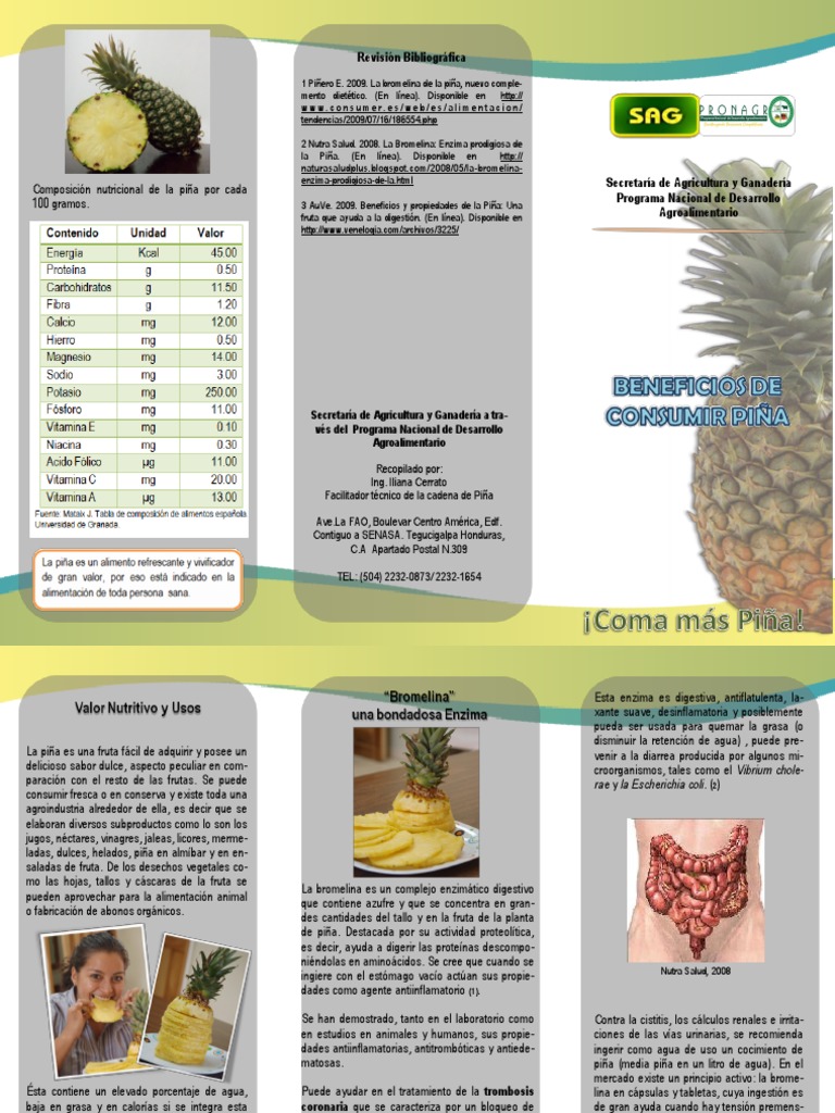 Beneficios y composición de la piña | PDF | Piña | Digestión