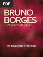 teoriadaabsorçãodeconhecimentos-brunoborges